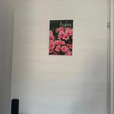 Linda 3* Ancona